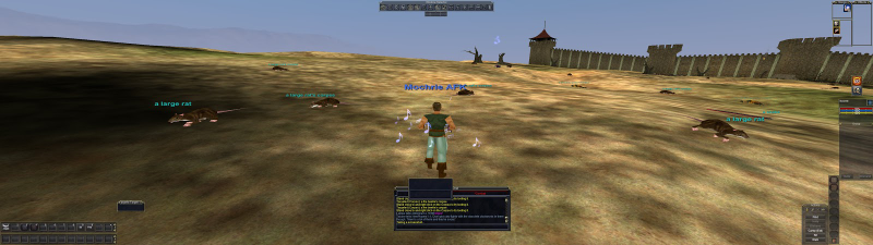 Everquest